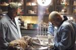 Photos - CSI : Les Experts